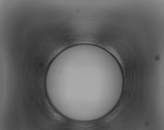 X0000094820393200711161033