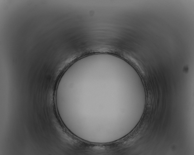 X0000094820394200711161033