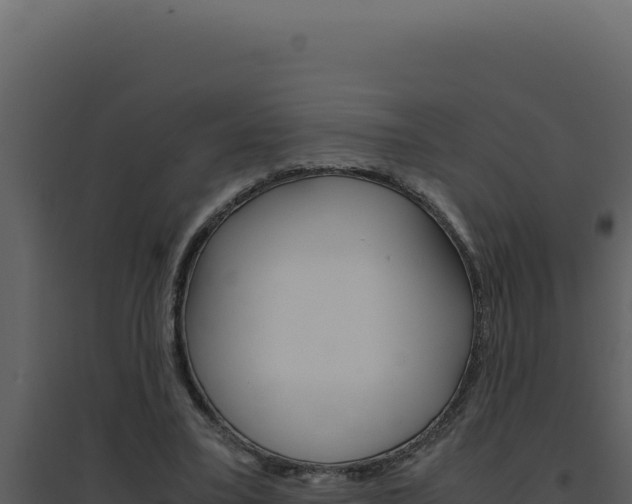 X0000094820395200711161033