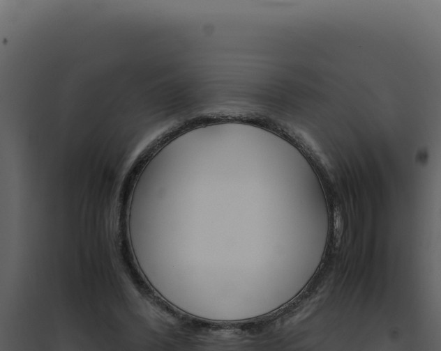 X0000094820396200711161033