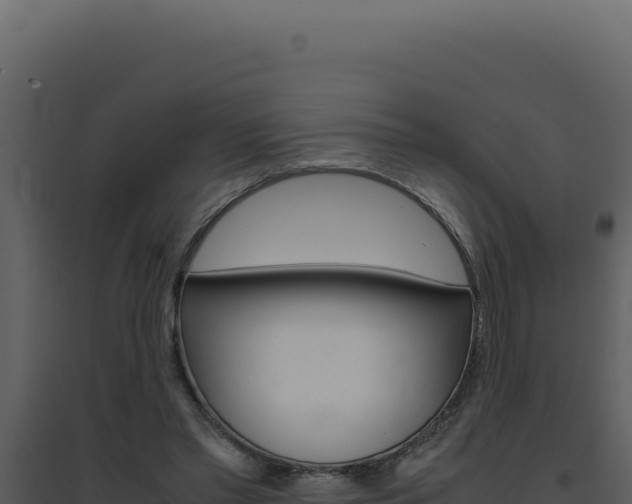 X0000094820397200711161033