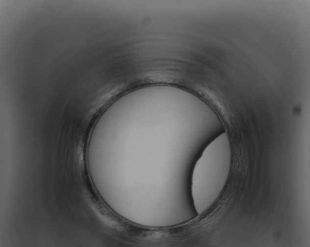 X0000094820398200711161033
