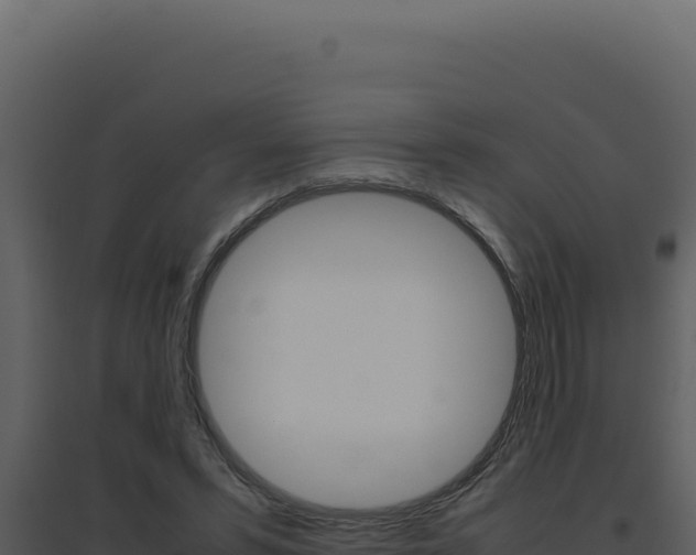 X0000094820399200711161033