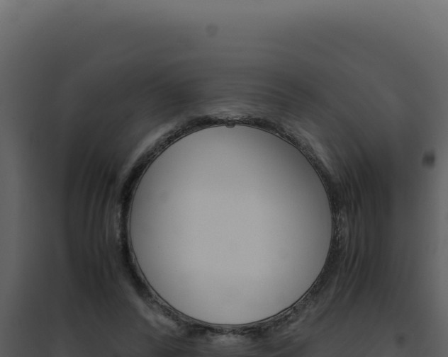X0000094820400200711161033