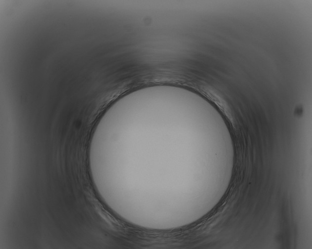 X0000094820401200711161033