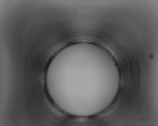 X0000094820402200711161033