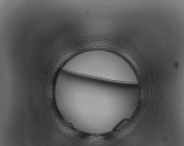 X0000094820403200711161033