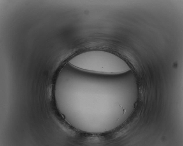 X0000094820404200711161033