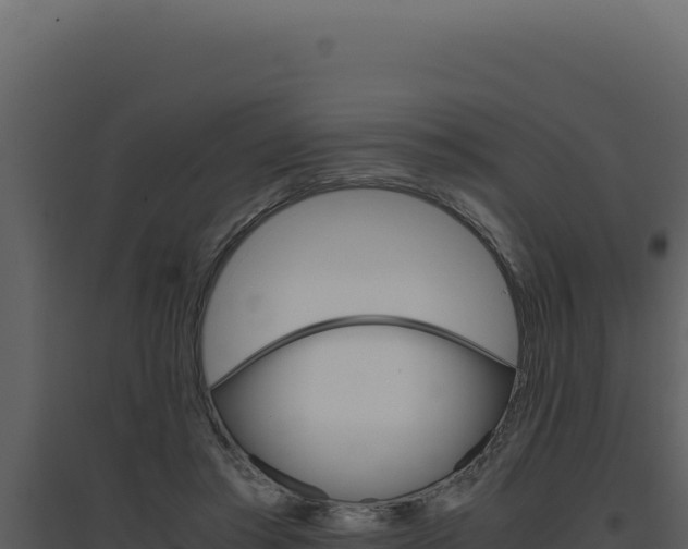 X0000094820405200711161033
