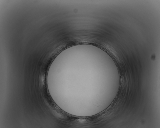 X0000094820406200711161033