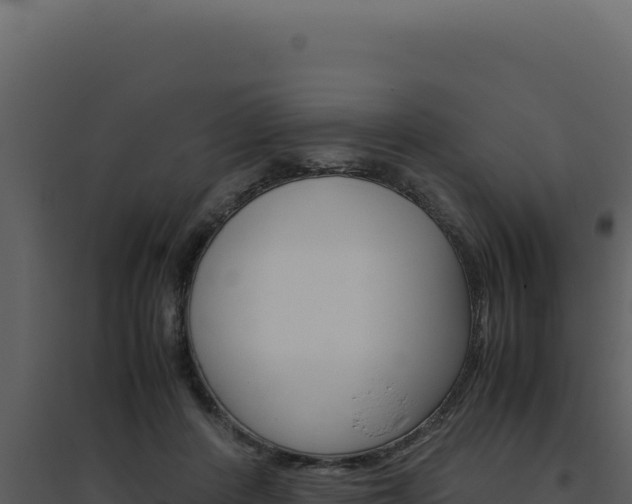 X0000094820408200711161033