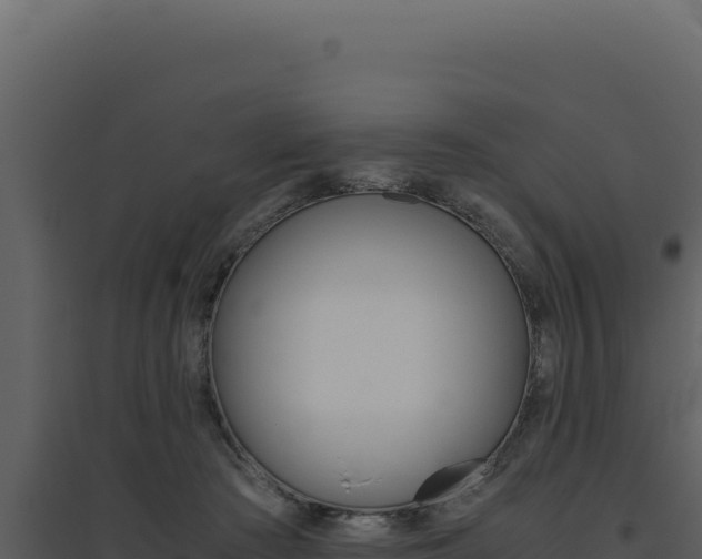 X0000094820409200711161033