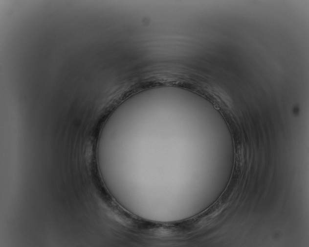 X0000094820412200711161033