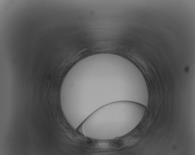 X0000094820413200711161033
