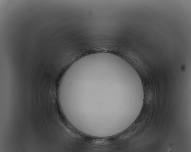 X0000094820414200711161033