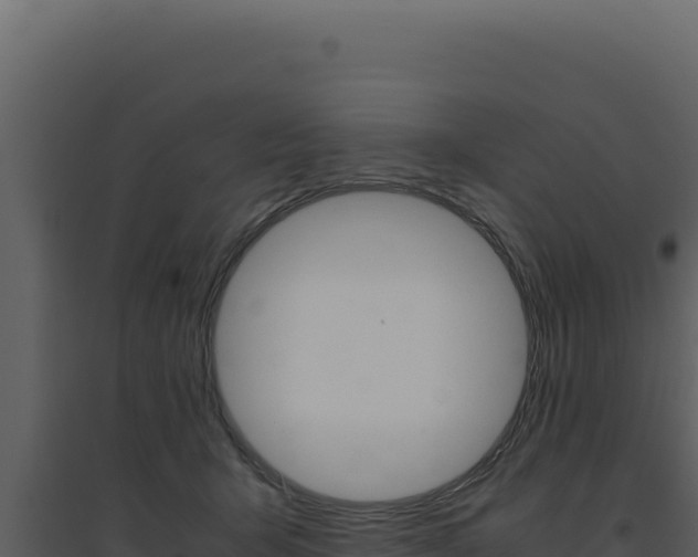 X0000094820415200711161033