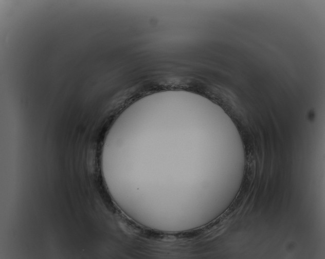 X0000094820416200711161033