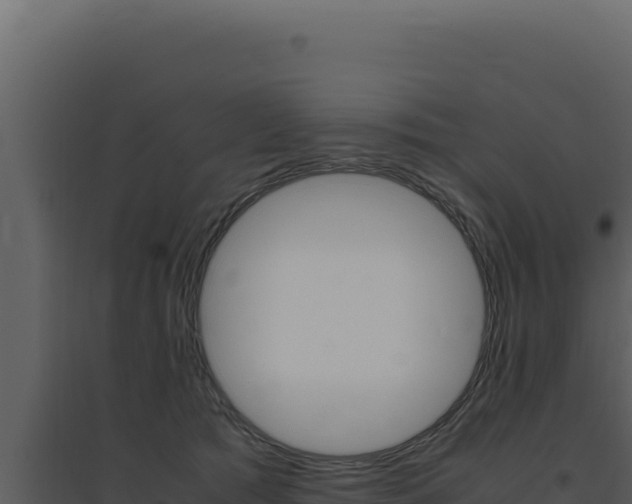 X0000094820417200711161033