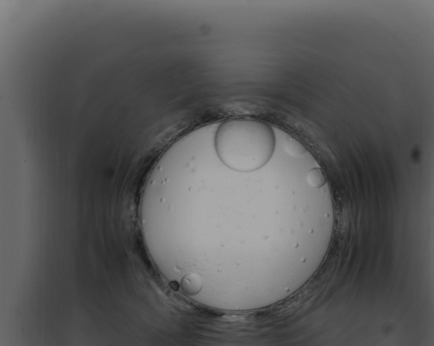 X0000094820418200711161033