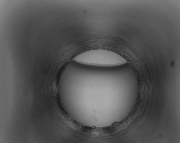 X0000094820420200711161033