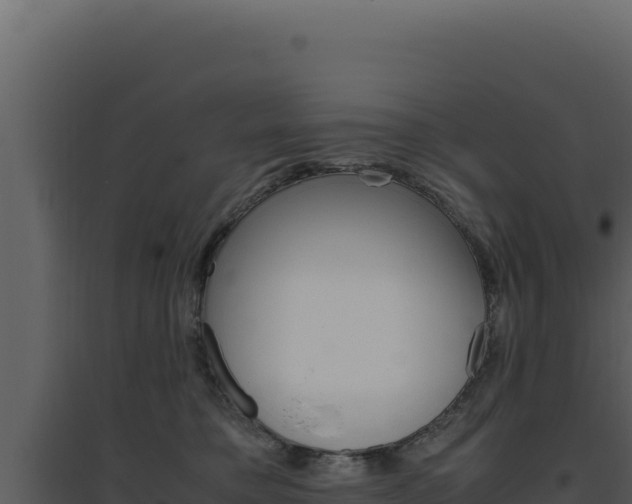 X0000094820421200711161033