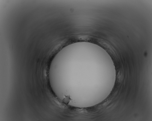 X0000094820424200711161033