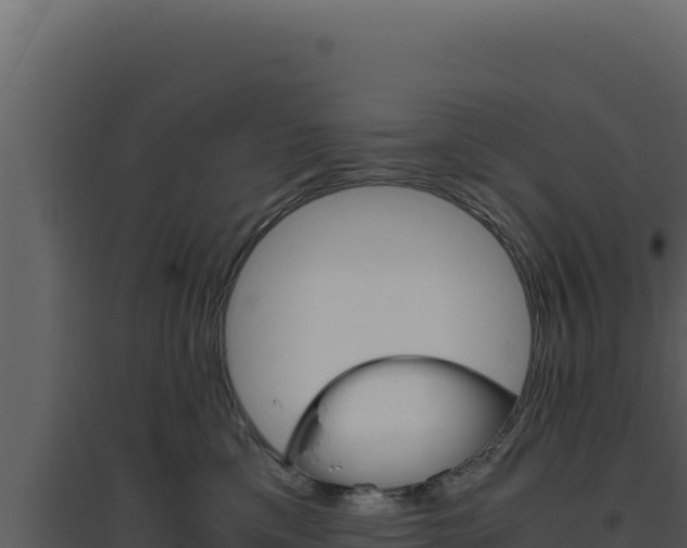 X0000094820425200711161033