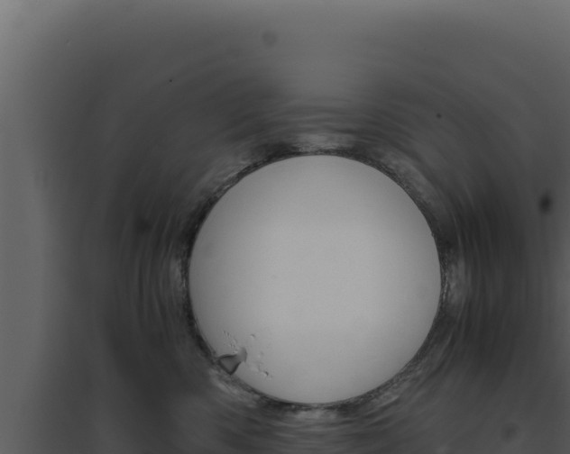 X0000094820426200711161033