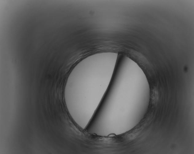 X0000094820428200711161033