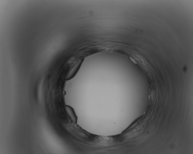 X0000094820429200711161033