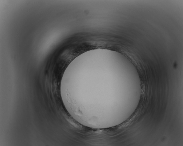 X0000094820430200711161033