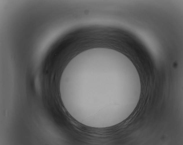 X0000094820431200711161033