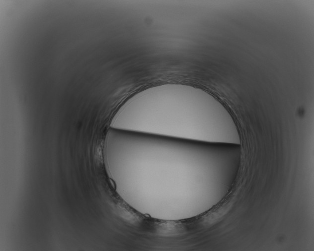 X0000094820432200711161033