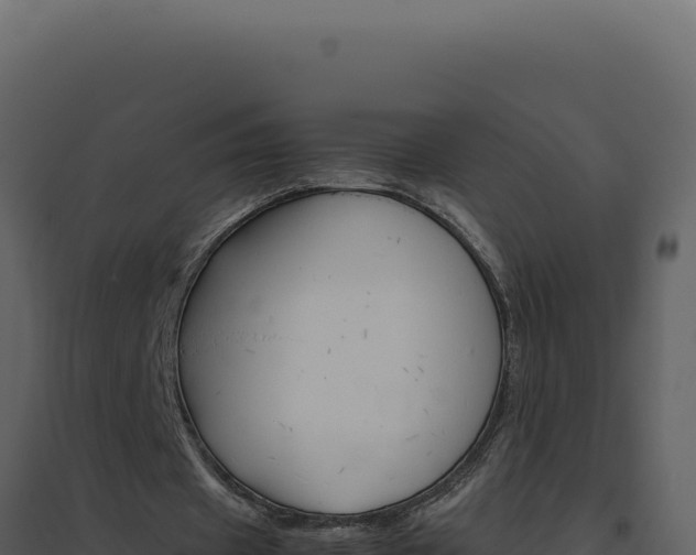 X0000094820433200711161032