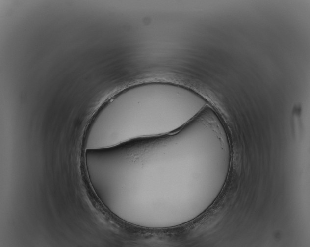 X0000094820434200711161032