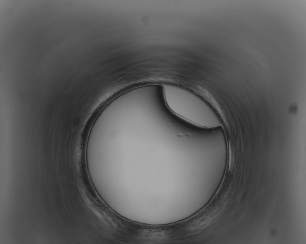 X0000094820435200711161032