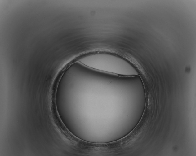 X0000094820436200711161032