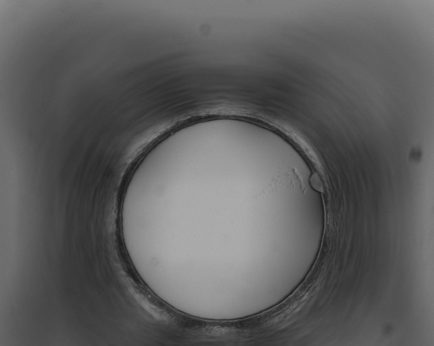 X0000094820437200711161032