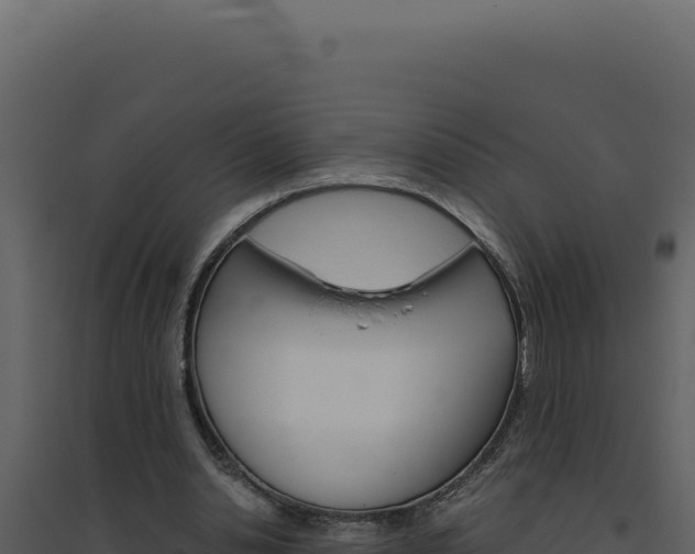 X0000094820438200711161032