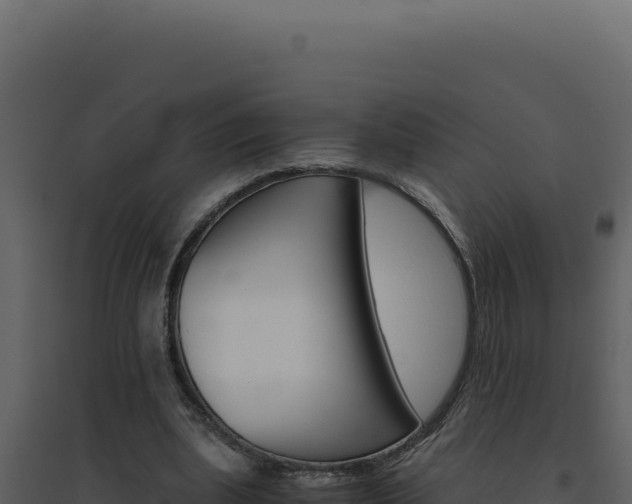 X0000094820439200711161032