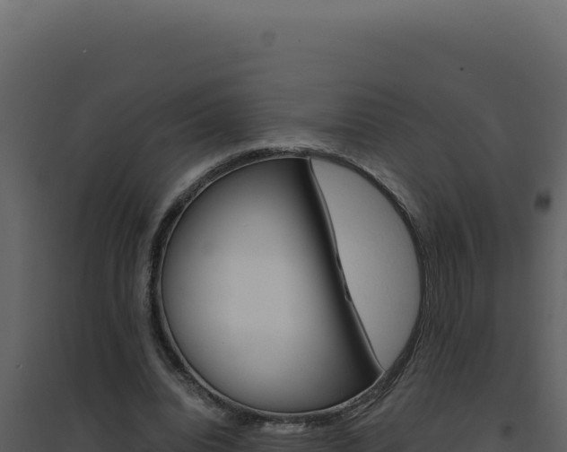 X0000094820440200711161032