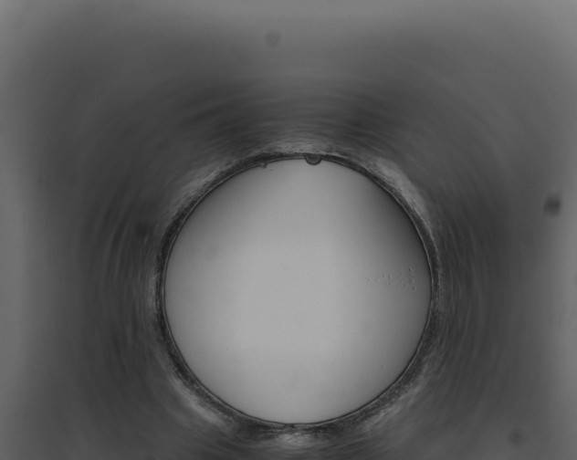 X0000094820441200711161032