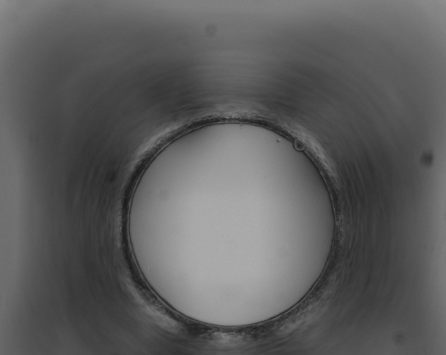 X0000094820442200711161032
