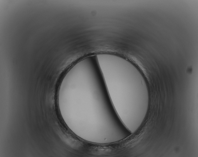 X0000094820443200711161032