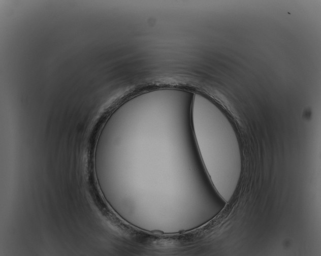 X0000094820444200711161032
