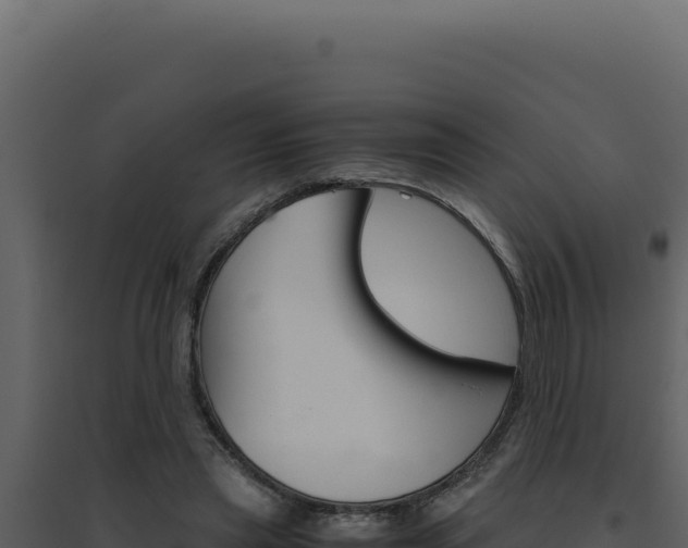 X0000094820445200711161032