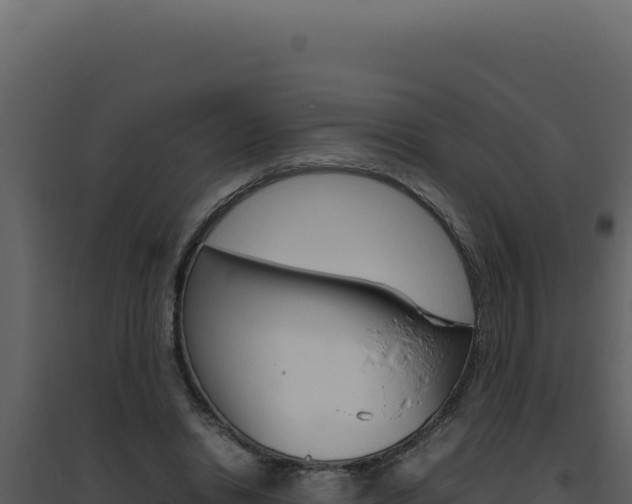 X0000094820446200711161032