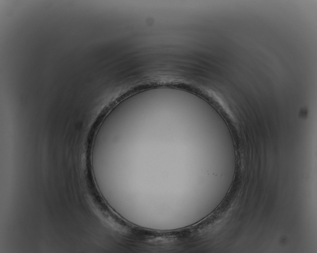 X0000094820447200711161032