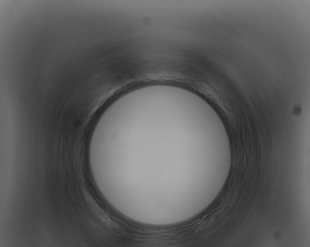 X0000094820448200711161032