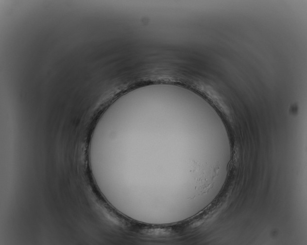 X0000094820449200711161032